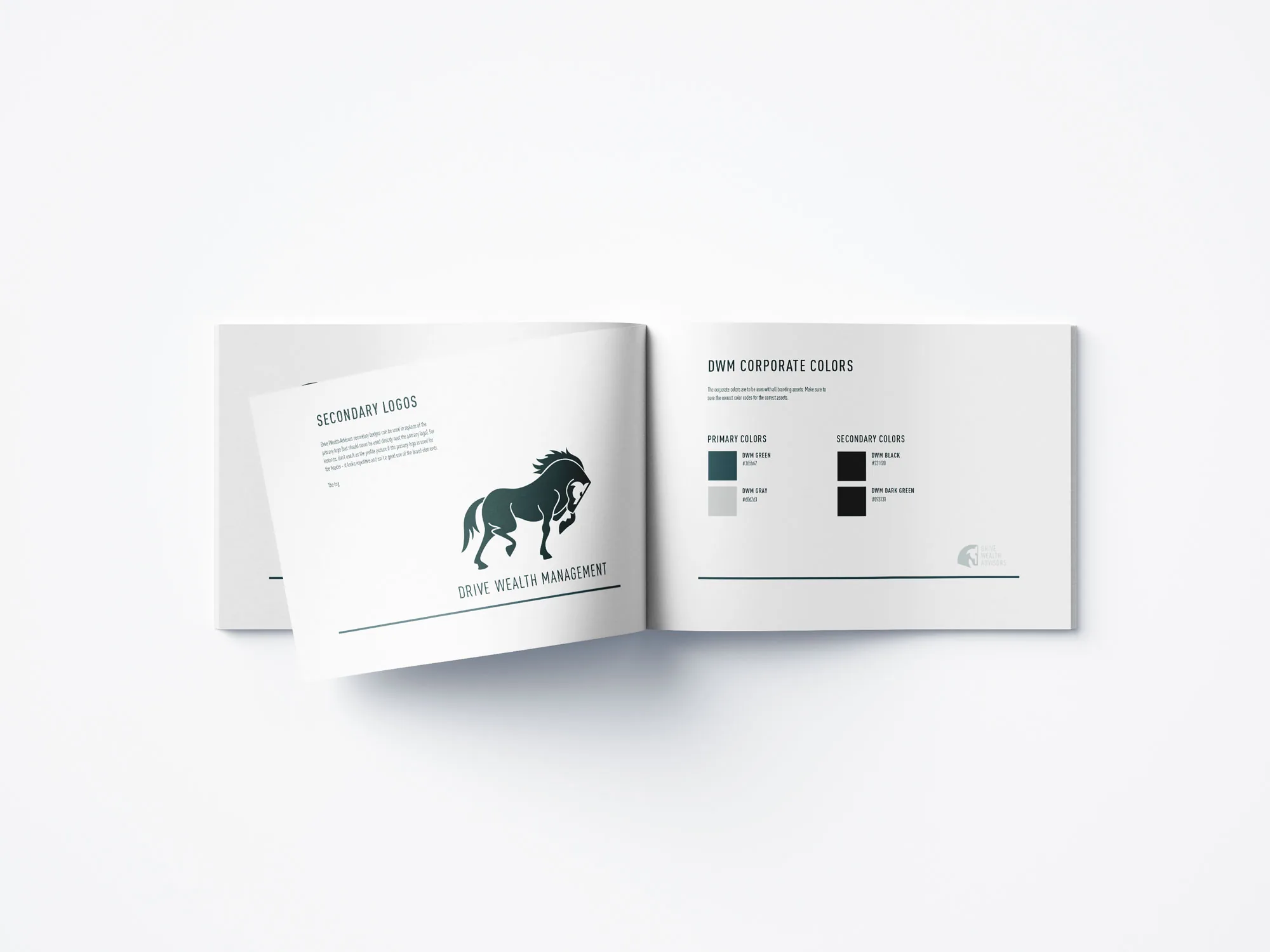 Drive Wealth Advisers project image 5