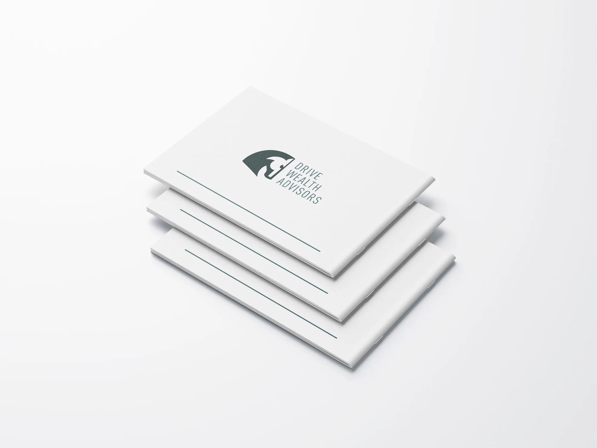 Drive Wealth Advisers project image 6