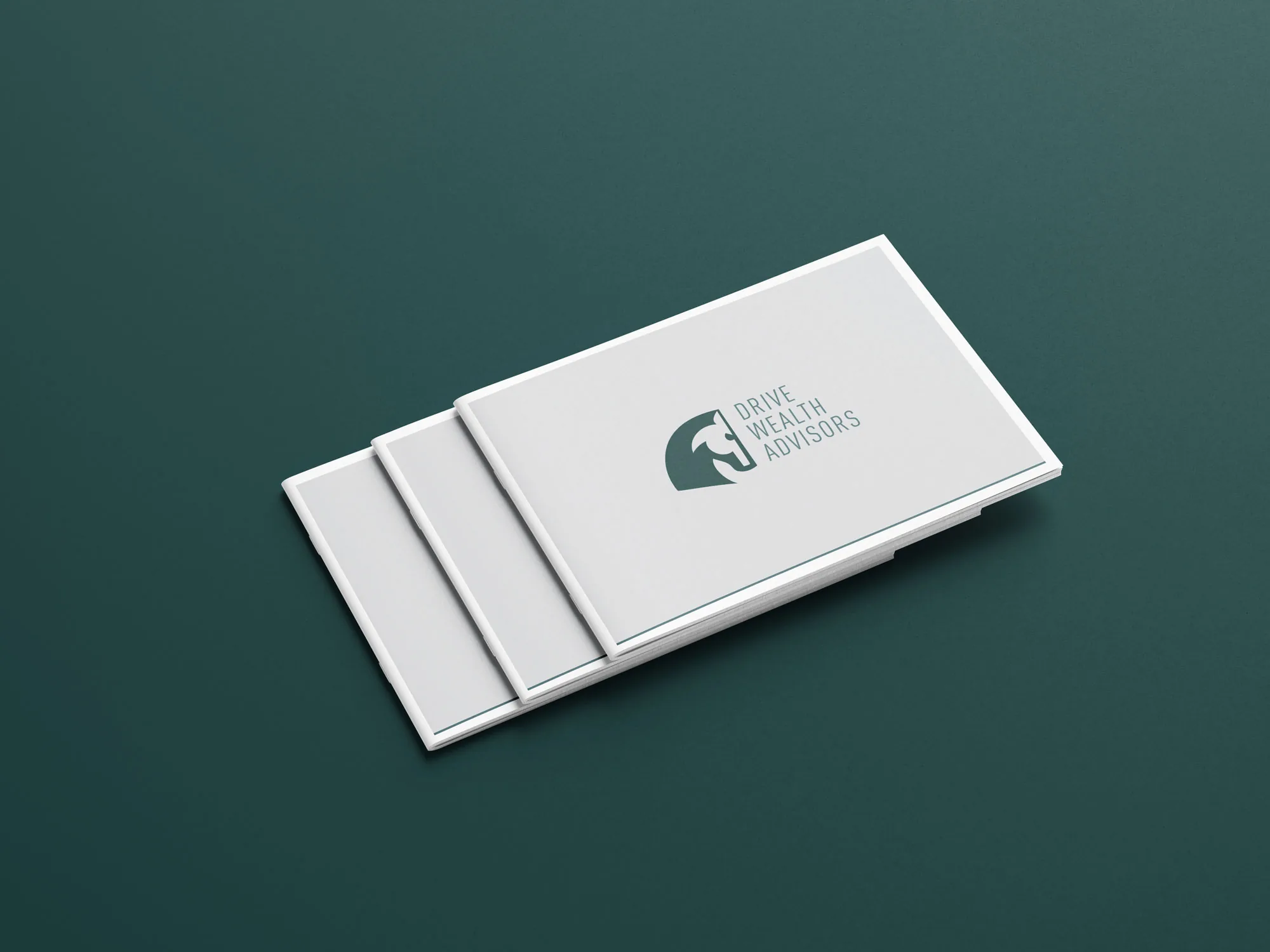 Drive Wealth Advisers project